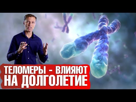 Видео: Как удлинить теломеры, жить дольше и остановить старение?🤷‍♀️