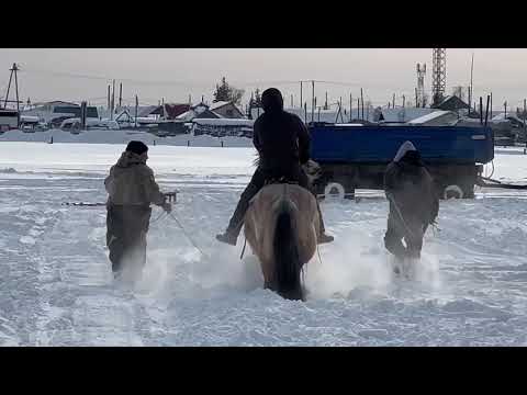 Видео: 12 октября 2025 г.