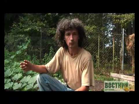 Видео: Подготовка почвы к зиме с Павлом Траннуа