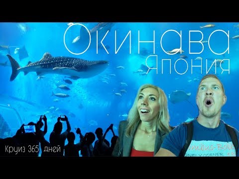 Видео: ЯПОНИЯ. ОКИНАВА. Самый Большой Океанариум В Мире