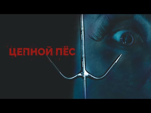 Видео: Слетел с катушек в праздник