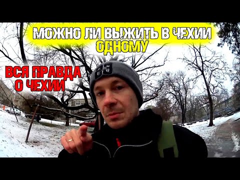 Видео: Беженцы в Чехии / Вся правда о жизни в Чехии / Зарплаты и цена аренды в Чехии / Как выжить в Чехии