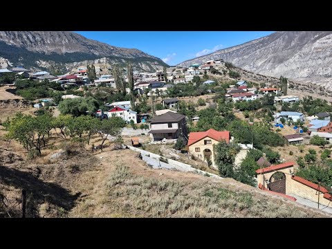 Видео: Ваче дун Шодрода, ваче