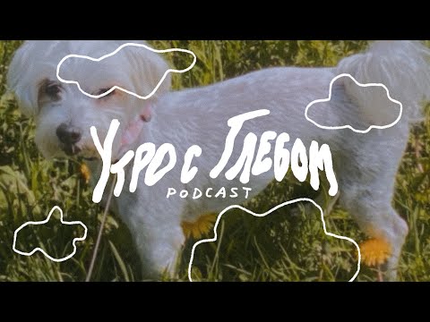 Видео: УТРО С ГЛЕБОМ - Островок спокойствия - 17 мая