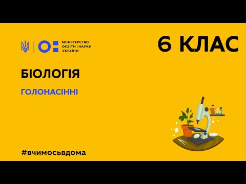 Видео: 6 клас. Біологія. Голонасінні (Тиж.2:ПН)