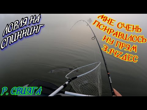 Видео: Ловля СУДАКА осенью на ДЖИГ. РАЗДАЧА - ЭТО КАК БЕСКЛЁВЬЕ, ТОЛЬКО НАОБОРОТ!