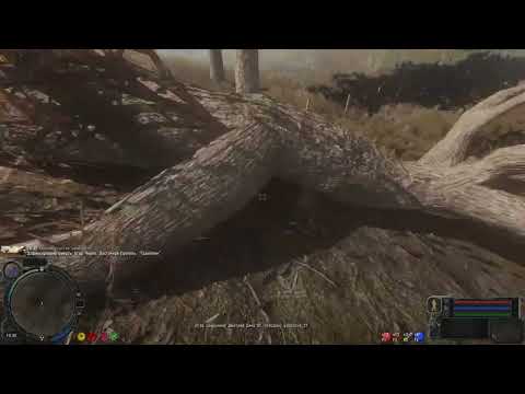 Видео: Сталкер народная солянка 2026 - яички для повара и лекарство для Акима #41