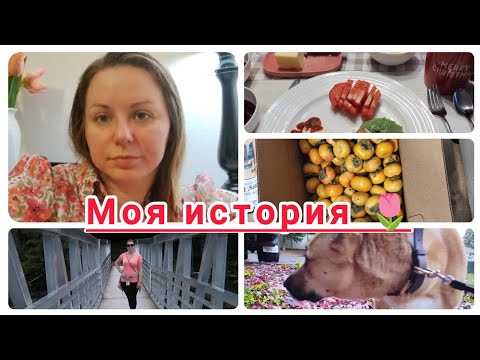 Видео: Давайте познакомимся / Почему я удалила видео с канала? 