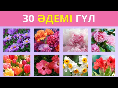Видео: 30 ГҮЛДІҢ АТЫН ТАП  Сұлулық пен нәзіктіктің символдары QUIZ