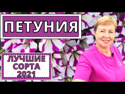 Видео: ПЕТУНИЯ лучшие сорта выберу на следующий год?
