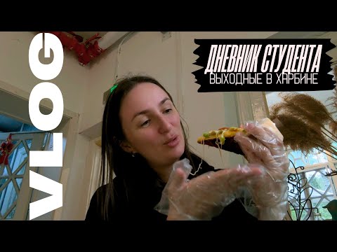 Видео: Выходные в Харбине Океанариум Солнечный остров Торговый центр Ванда Книжный магазин zhongchuang