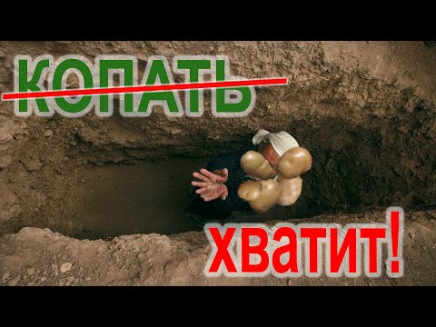 Видео: Копать картошку - больше не надо! Лопата больше не нужна!