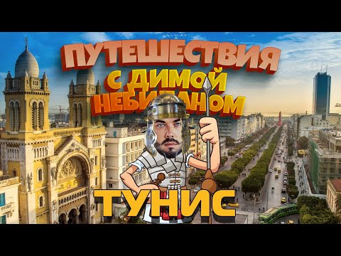 Видео: Тунис с Димой НеБиланом [2024 4k]