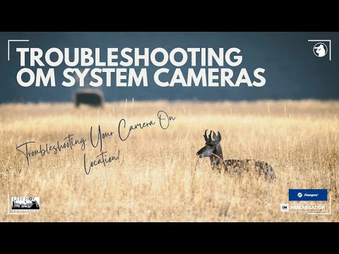 Видео: Устранение неисправностей камеры системы OM в полевых условиях