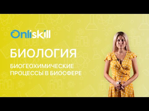 Видео: Биология 11 класс: Биогеохимические процессы в биосфере