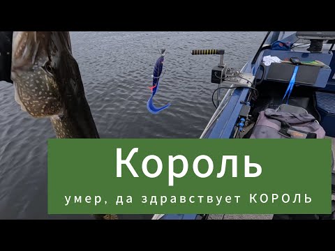 Видео: Король умер, да здравствует король!