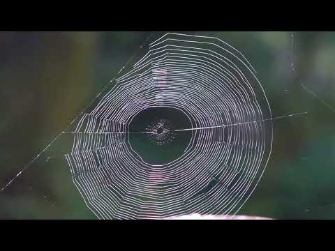 Видео: Сходил к реке и переночевал в Сочи, получил удовольствие, увидел Охотников 