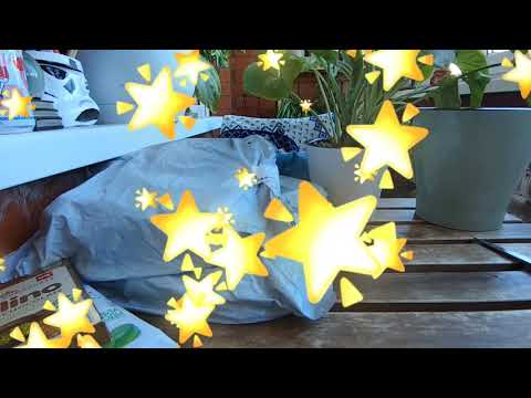 Видео: Покупки Фикс Прайс 🍁🌿🍁 Бижутерия с АлиЭкспресс 🌿🍁🌿
