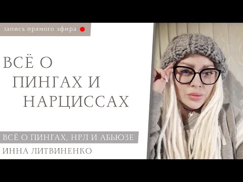 Видео: Пинги