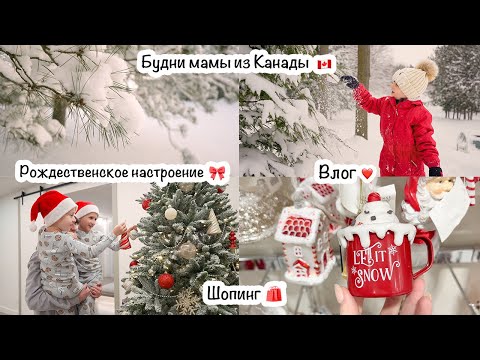 Видео: Будни мамы из Канады🇨🇦Праздничное настроение🌟Комната Евы✨Яичные маффины с беконом🙂Елка🎄