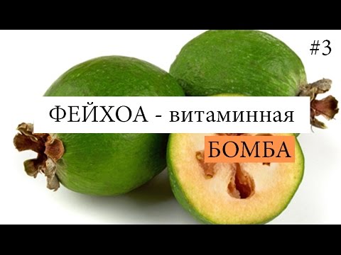 Видео: Как вырастить ФЕЙХОА в домашних условиях