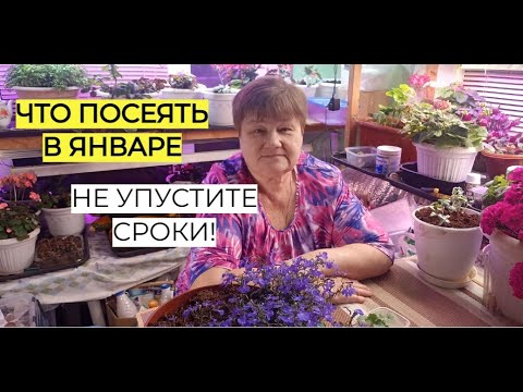 Видео: Не забудьте посеять это в январе! 2025. Не пропустите сроки!