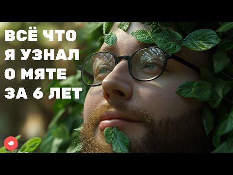 Видео: Как вырастить мяту? Выращивание мяты из семян на подоконнике