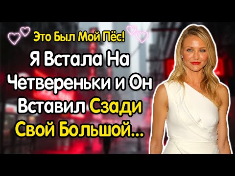 Видео: Я ПРИШЛА ПОКОРМИТЬ МОЕГО ПСА, НО ОН ХОТЕЛ ОТ МЕНЯ ТОЛЬКО ЭТО...