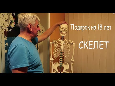 Видео: VLOG Как мы готовились к Настиному дню рождения