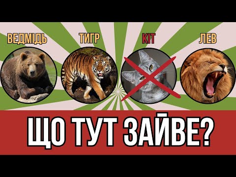 Видео: "Що тут зайве? 🤔 Вікторина для дітей – знайди зайвий предмет!"