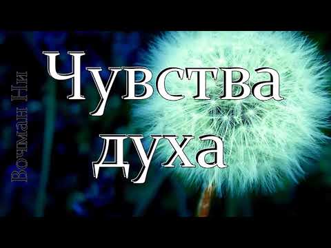 Видео: "Чувства духа" Вочман Ни