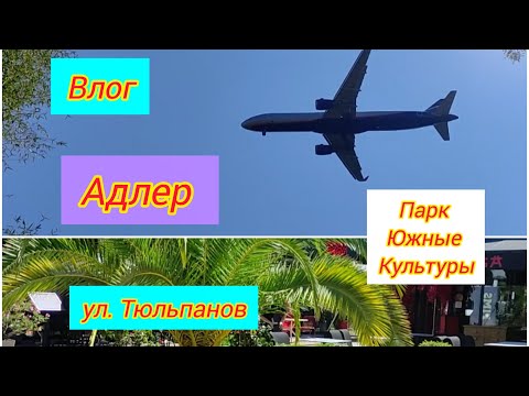 Видео: ВЛОГ / Адлер сегодня /Южные культуры / улица Тюльпанов / 