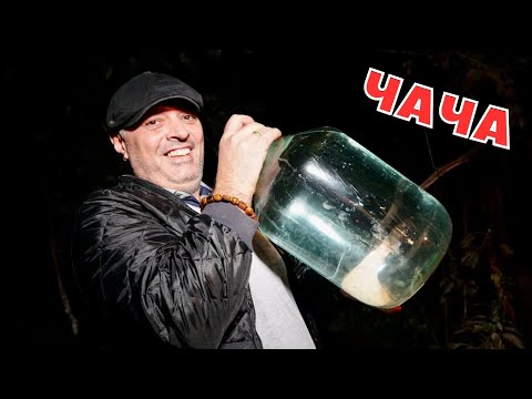 Видео: ЧАЧА из винограда — Лучший рецепт из Грузии!