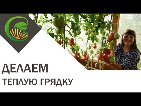 Видео: Делаем теплую грядку