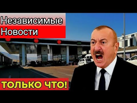 Видео: Контейнер с «овощами»: случайная находка, которая открыла путь к тайной техносети