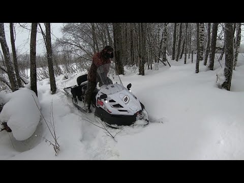 Видео: Буран 4 тд. Дорога в избушку.