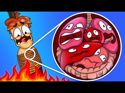 Видео: Чи зможеш ти вижити без 5 органів?