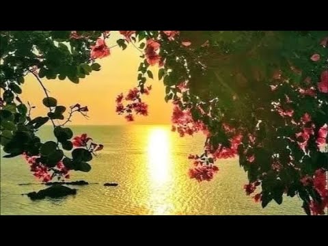 Видео: Послание от предков для Вас 💓