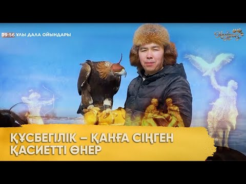 Видео: Құсбегілік – қанға сіңген қасиетті өнер. «Ұлы дала ойындары»