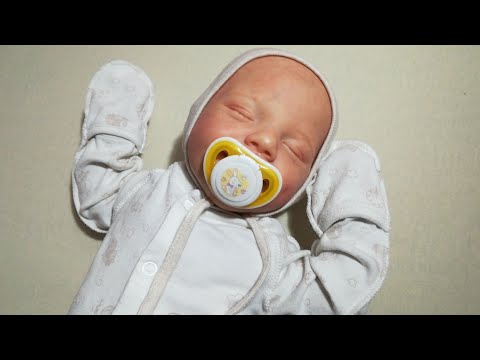 Видео: ВЕЧЕР С РЕБОРНОМ ЭВЕЛИНОЙ 🌆