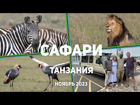 Видео: Африканское Фотосафари