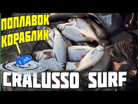 Видео: болонская ловля. cralusso surf. ловля болонским поплавком. лучший болонский поплавок. рыбалка