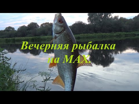 Видео: #Рыбалка на# МАХ#Плотва.