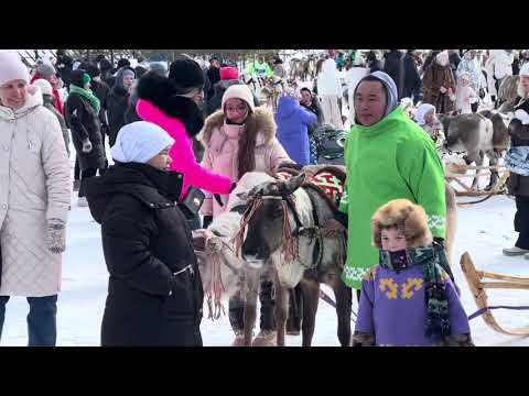 Видео: Забег Оленей , Бураны , Русскинские.