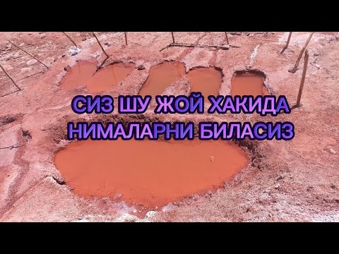 Видео: БОБОТОГДА ШУНАКА ЖОЙ БОРЛИГИНИ БИЛАРМИДИНГИЗ