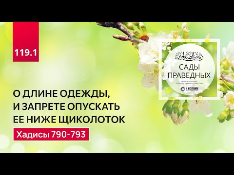 Видео: 119.1 Сады праведных. О ДЛИНЕ ОДЕЖДЫ, И ЗАПРЕТЕ ОПУСКАТЬ ЕЕ НИЖЕ ЩИКОЛОТОК. Хадисы 790-793