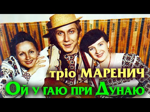 Видео: Тріо Маренич - Ой у гаю при Дунаю