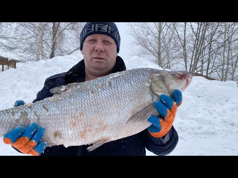 Видео: Судак волжанин 🐟 как приготовить рыбу в духовке простой рецепт
