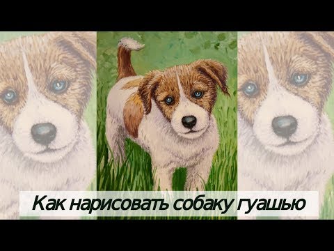 Видео: Как нарисовать собаку гуашью поэтапно/подробный видео урок