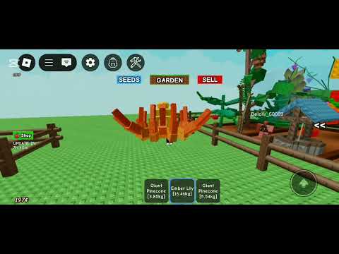 Видео: От морковки до девайна.1 часть. В Grow a garden.